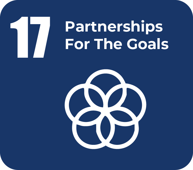 SDG 17 Partnerships for the Goals icon representing global collaboration for sustainable development